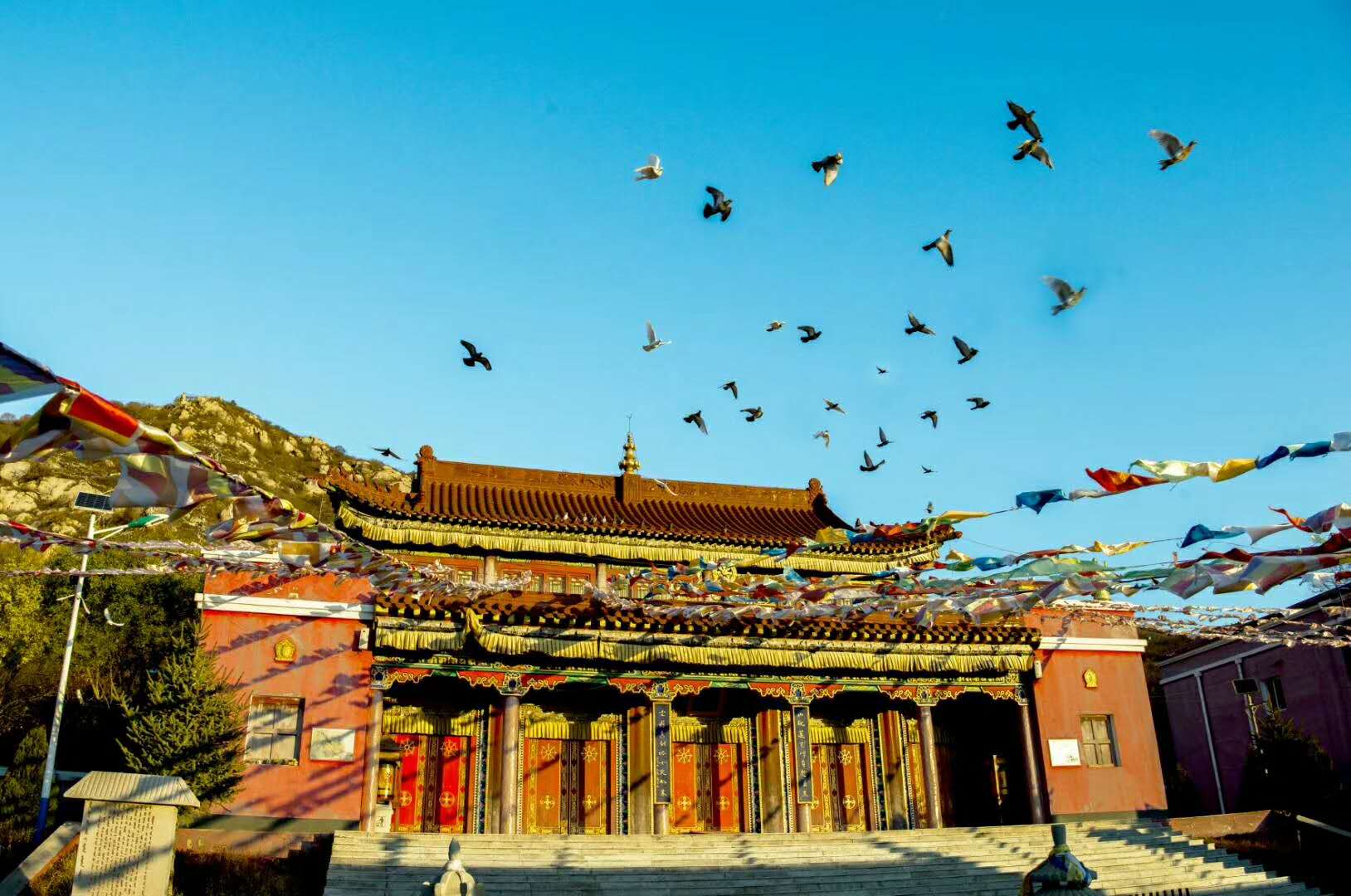 微信图片_20180801163624.jpg
